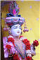 TULSI VIVAH (442).jpg
